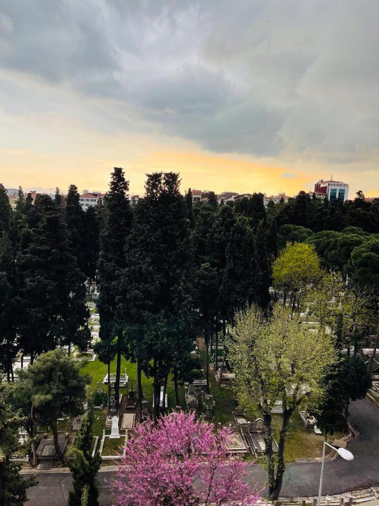 Aymira Suite Hotel Κωνσταντινούπολη Δωμάτιο φωτογραφία